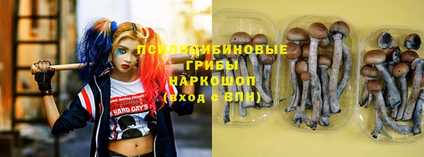 меф Богородск