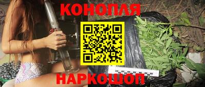прущие грибы Лесосибирск