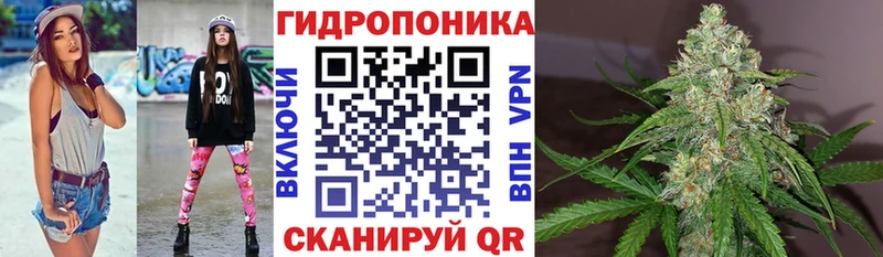 Бошки марихуана VHQ Волжск